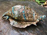 Muschel getöpfert aus Ton, Keramik Schnecke für den Garten, Teich Baden-Württemberg - Buchen (Odenwald) Vorschau