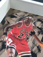 NBA Basketball Michael Jordan „Defense” Kleinkunst Hessen - Roßdorf Vorschau