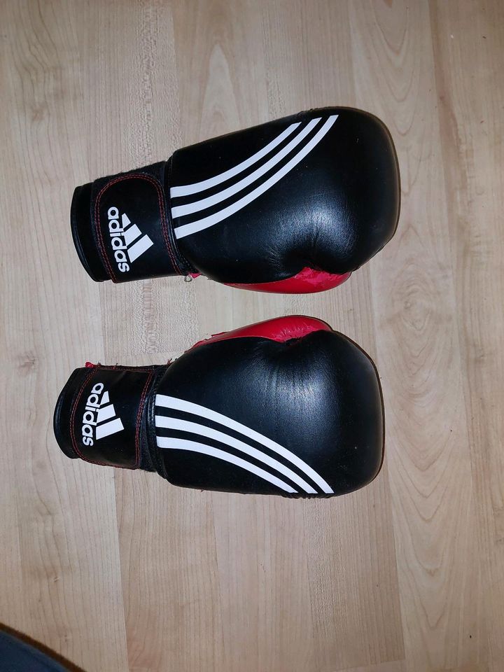 Boxsack und Boxhandschuhe in Maintal