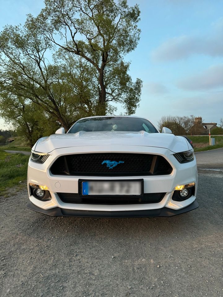 Ford Mustang GT 5.0 GRAIL Abgasanlage in Kulmbach