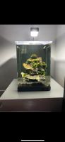 sera Biotop Nano LED Cube 16 Komplett Aquarium fertig eingefahren Bonn - Bad Godesberg Vorschau