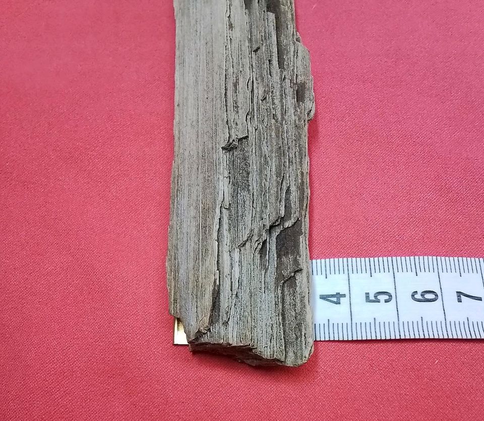 1 Stück versteinertes Holz Kieselholz versteinerter Baum Deko in Wyhratal