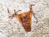 Bikinihose Pull&Bear Neu Bikini Hose Leo Leopard animalprint S M Bayern - Kempten Vorschau