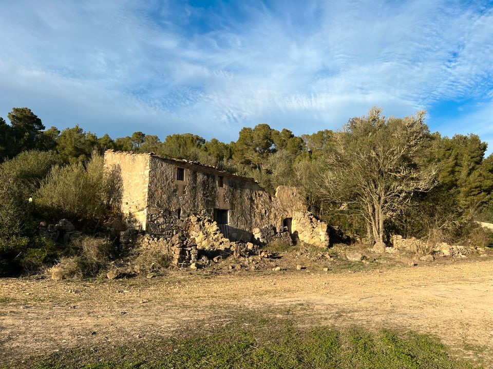 Baugrundstück Mallorca Finca in Dortmund