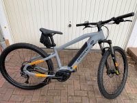 Haibike HardNine 4 grau Rahmenhöhe M / 46 cm neu Rheinland-Pfalz - St Martin (Pfalz) Vorschau