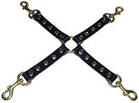 SM-Leder 01893 Exklusive PREMIUM Hogtie Fesselkreuz Nordrhein-Westfalen - Niederkassel Vorschau