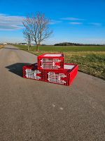 Abverkauf! Geflügeltransportboxen, Transportkoste Hühner, Bayern - Engelsberg Vorschau