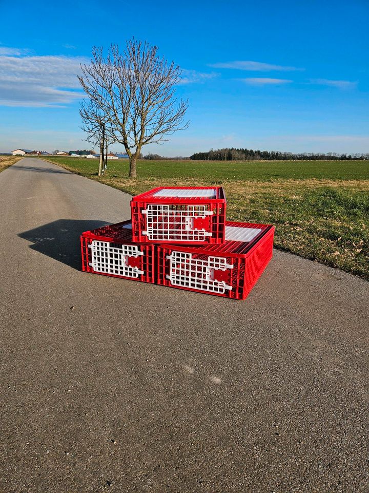 Abverkauf! Geflügeltransportboxen, Transportkoste Hühner, in Engelsberg