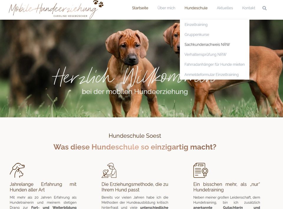 Sachkundenachweis Hund NRW Online, Hundeführerschein, Hundeschule in  Nordrhein-Westfalen - Soest | eBay Kleinanzeigen ist jetzt Kleinanzeigen