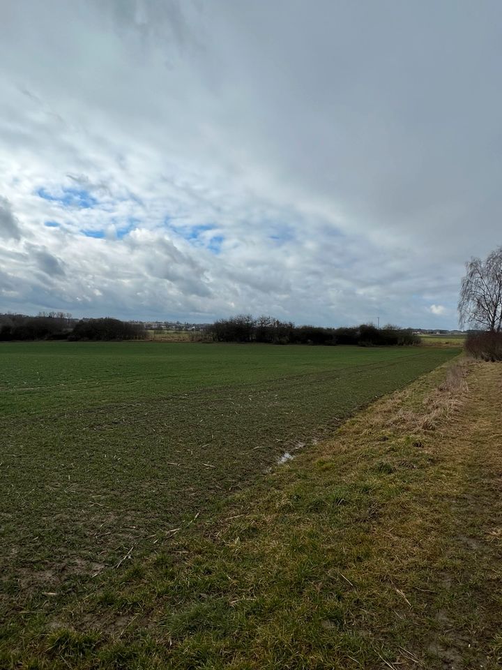 Ackerfläche landwirtschaftliche Fläche Ausgleichsfläche in Weichs