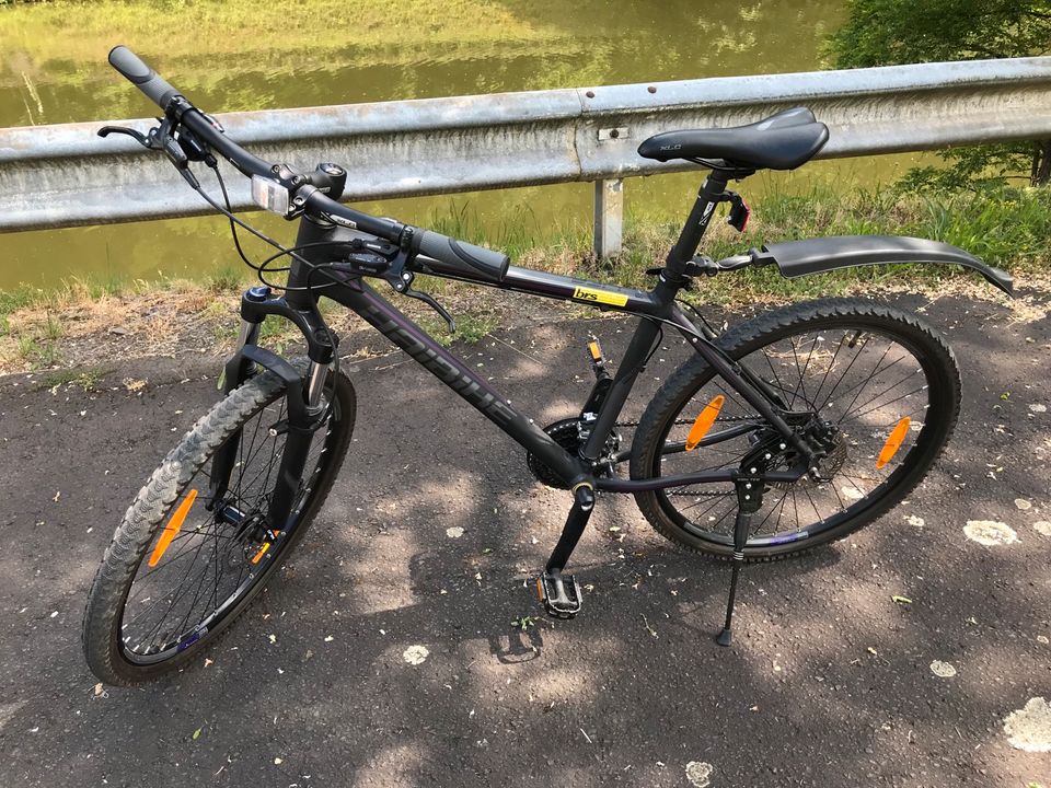 Mountainbike HAI Life 24-G in Horhausen (Nassau)