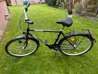 Fahrrad 28 Zoll Prince Road Cruiser Hohen Neuendorf - Bergfelde Vorschau