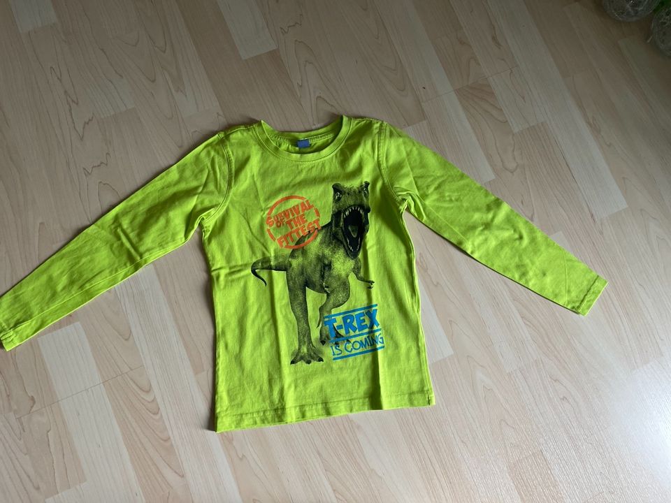 Hellgrünes Langarmshirt T-Rex Gr.128 in Waldachtal