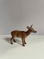 Schleich 14630 Rothirschkuh Brandenburg - Wandlitz Vorschau