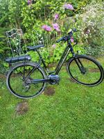 Koga E-Bike Rheinland-Pfalz - Edenkoben Vorschau