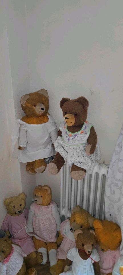 Bären/Teddybären Sammlung alt 22 Stück in Bielefeld