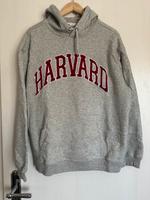 Grauer Harvard Hoodie von H&M NEU Thüringen - Weißensee Vorschau