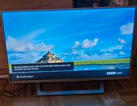 Sony Fernseher defekt Brandenburg - Potsdam Vorschau