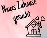 Suche Wohnung in ROSSLA Sachsen-Anhalt - Südharz Vorschau