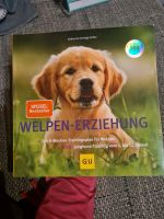 Welpen Buch Erziehung Hund Bayern - Laaber Vorschau
