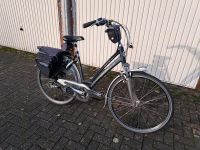 Gazelle Fuente D53 Nordrhein-Westfalen - Borken Vorschau