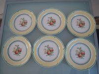 Villeroy & Boch French Garden Valence • 6 Speiseteller unbenutzt❕ Bayern - Lindau Vorschau