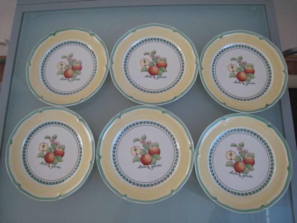 Villeroy & Boch French Garden Valence • 6 Speiseteller unbenutzt❕ in Lindau