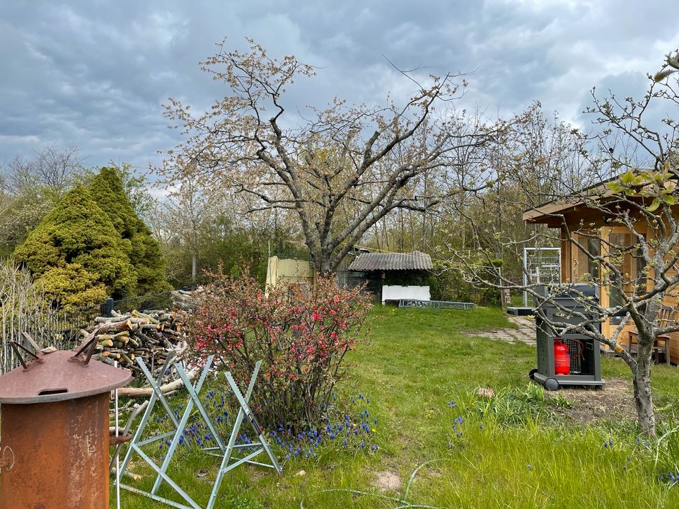 Kleingarten Alt Puppendorf; Pacht; KGV; Garten in SachsenAnhalt