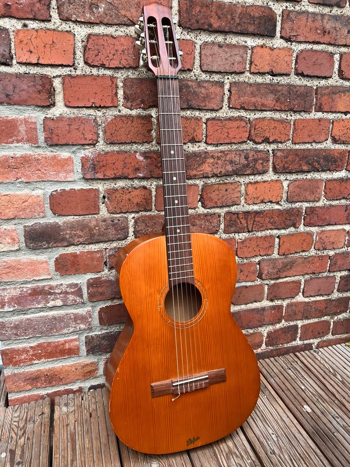 Höfner Vintage Gitarre 513 in Püsselbüren