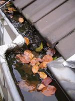 Dachrinnenreinigung Regenrinne reinigen Nordrhein-Westfalen - Oberhausen Vorschau