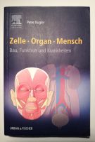 Zelle Organ Mensch Kugler Frankfurt am Main - Nordend Vorschau