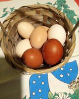 Frische Eier Marans Bresse/ Freilandhaltung/ Tagesfrische Eier Nordrhein-Westfalen - Marsberg Vorschau