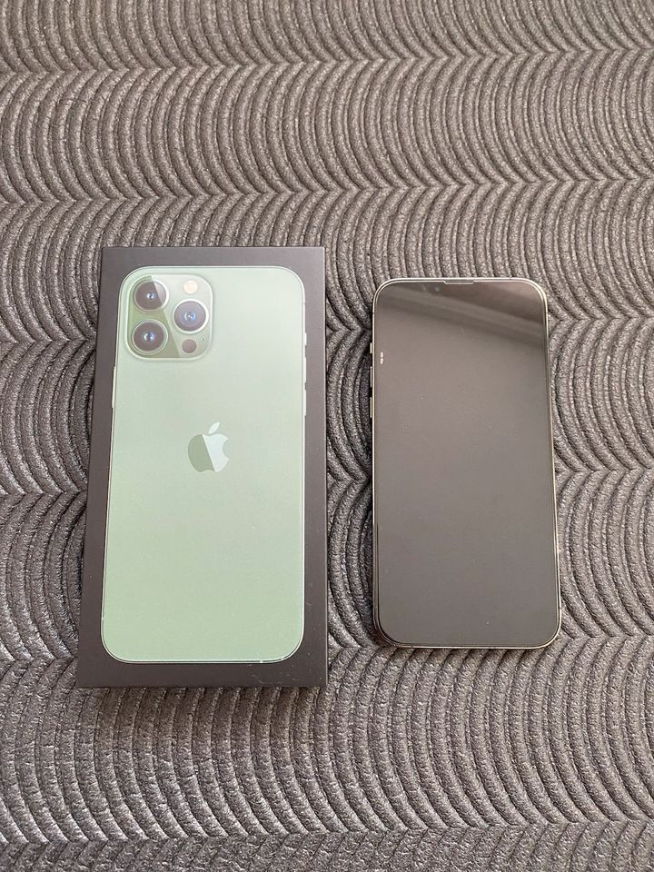 V/T iPhone 13 Pro Max Alpine Green in Halle