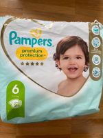 Pampers Gr.6  Premium Protection 11  Stück Bothfeld-Vahrenheide - Sahlkamp Vorschau