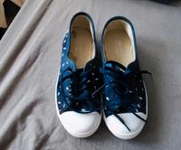 Lacoste Schuhe Blau Größe 37 Rheinland-Pfalz - Ransbach-Baumbach Vorschau