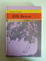 Effi Briest von Theodor Fontane Thüringen - Gera Vorschau