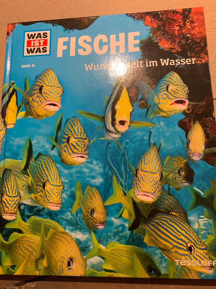 Was ist was -Fische Wunderwelt im Wasser Band 41 in Bendestorf