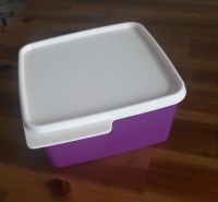 Tupperware Dose lila/weiß  1,2 L Rheinland-Pfalz - Trier Vorschau