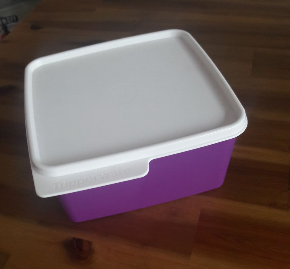 Tupperware Dose lila/weiß  1,2 L in Trier