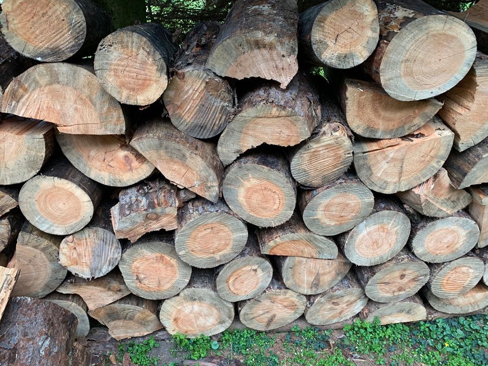 Brennholz Kiefer zu verkaufen in Groß-Umstadt