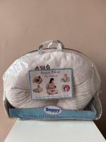 Chicco Bobby Stillkissen Beige/Braun Nordrhein-Westfalen - Wachtberg Vorschau