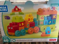 Mega Bloks, Bauklötze Fa. Fisher Price, Bausteine Art nach Lego Rheinland-Pfalz - Bruchhausen (Westerwald) Vorschau