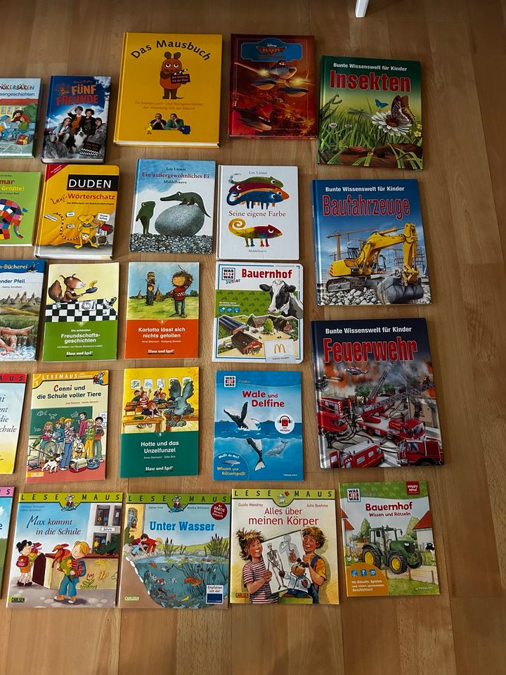 Verschiedene Kinderbücher Lesebär, Leselöwen, Conni, Was ist was in Drebber