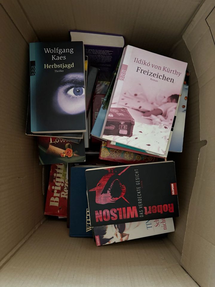 Bücher Kiste komplett in Mehlbach