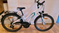 Pegasus Avanti 24 Zoll Kinderfahrrad 21 Gang für 7-10 Jahre Berlin - Spandau Vorschau