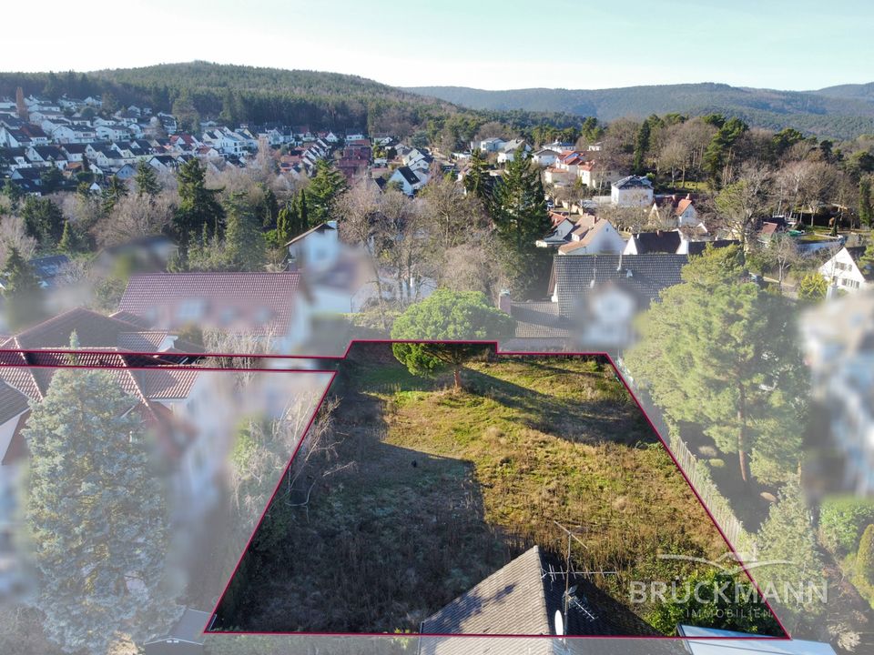 BD-Seebach: Seltenes Baugrundstück in exklusiver Lage mit Blick zur Limburg! in Bad Dürkheim