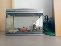 Tetra Aquarium 55L 60*44*31 Baden-Württemberg - Herrenberg Vorschau