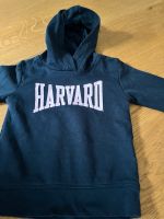 Havard Sweatshirt Uni Pullover USA Brandenburg - Falkensee Vorschau