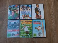 DVDs je 1€, King of Queens, Hitch, Kindsköpfe, Stalingrad Schleswig-Holstein - Revensdorf Vorschau