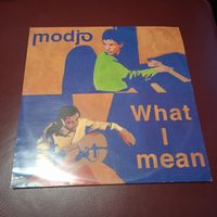 Vinyl / Schallplatte  MODJO "What I Man" Leipzig - Leipzig, Zentrum-Südost Vorschau